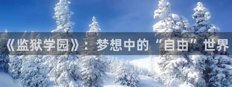 火影忍者国语版58动漫